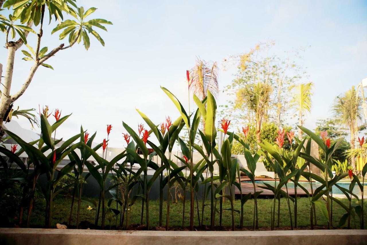 Vanilla Suite Jimbaran Exterior foto